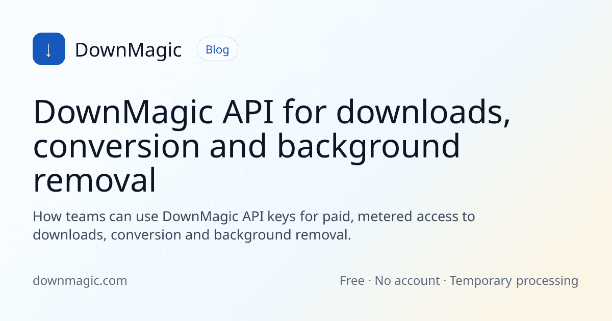 DownMagic API for downloads, conversion and background removal - DownMagic guide illustration