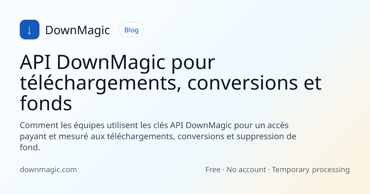 API DownMagic pour téléchargements, conversions et fonds - DownMagic illustration de guide