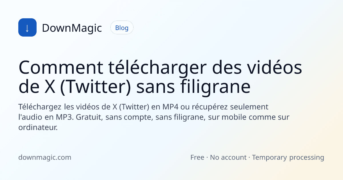 Comment télécharger des vidéos de X (Twitter) sans filigrane - DownMagic illustration de guide