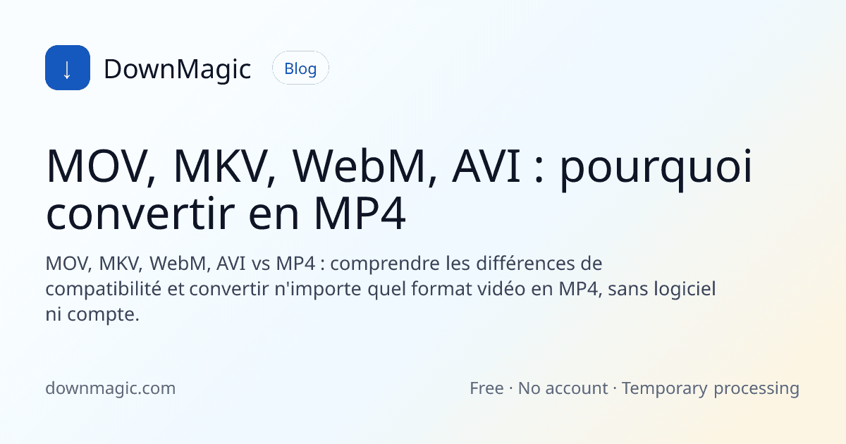 MOV, MKV, WebM, AVI : pourquoi convertir en MP4 - DownMagic illustration de guide
