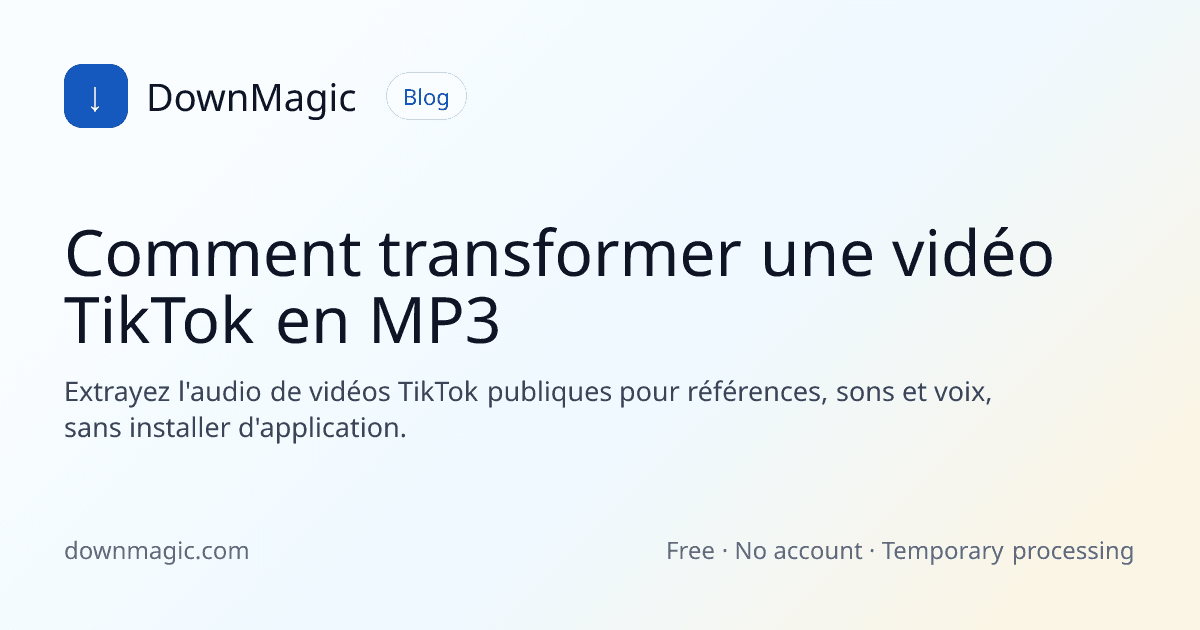 Comment transformer une vidéo TikTok en MP3 - DownMagic illustration de guide