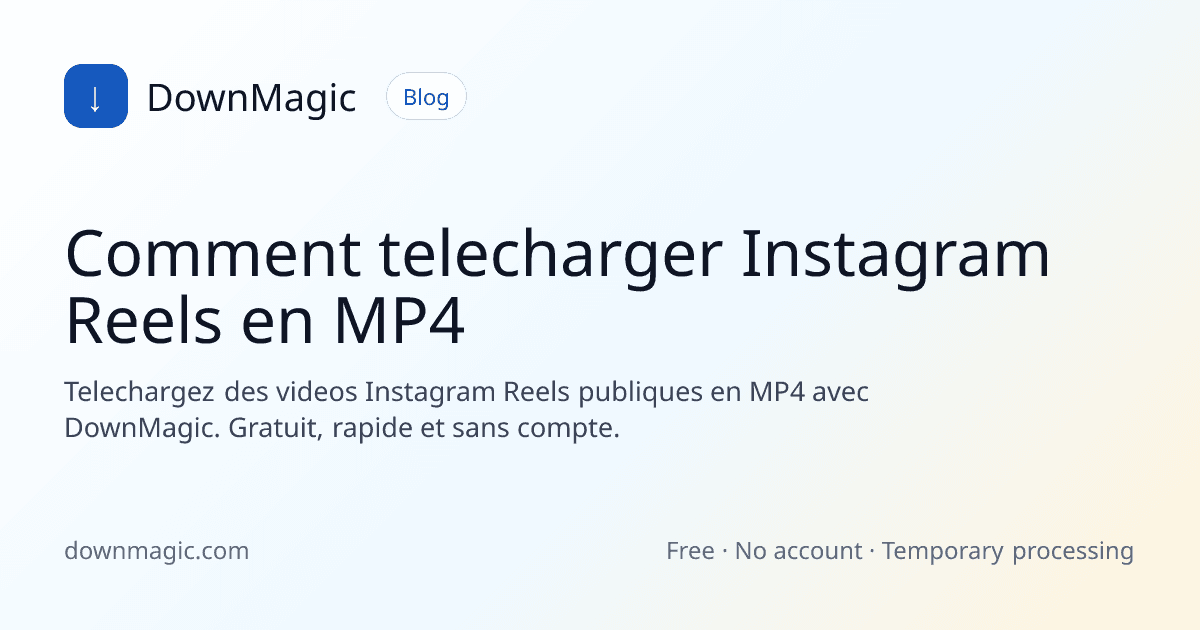 Comment telecharger Instagram Reels en MP4 - DownMagic illustration de guide