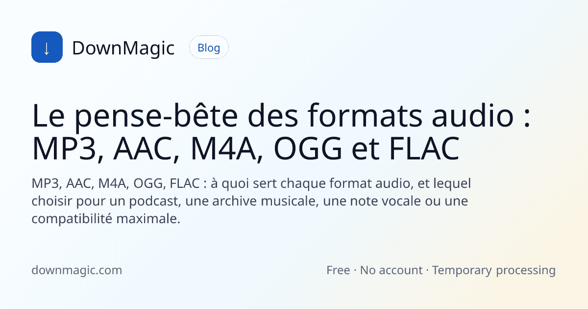 Le pense-bête des formats audio : MP3, AAC, M4A, OGG et FLAC - DownMagic illustration de guide