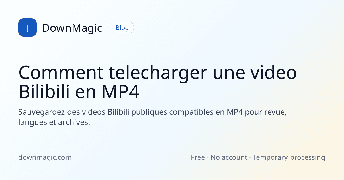 Comment telecharger une video Bilibili en MP4 - DownMagic illustration de guide