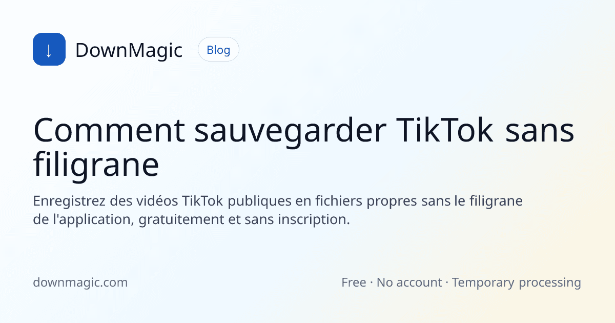 Comment sauvegarder TikTok sans filigrane - DownMagic illustration de guide