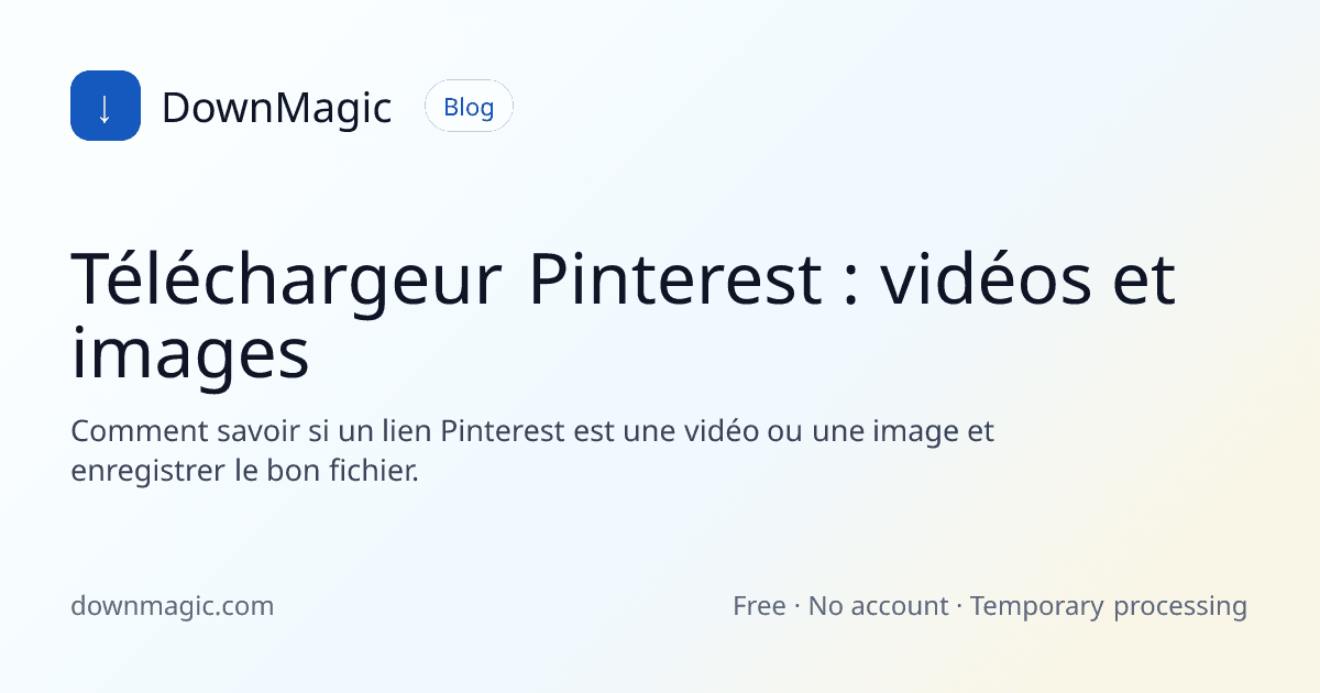 Téléchargeur Pinterest : vidéos et images - DownMagic illustration de guide