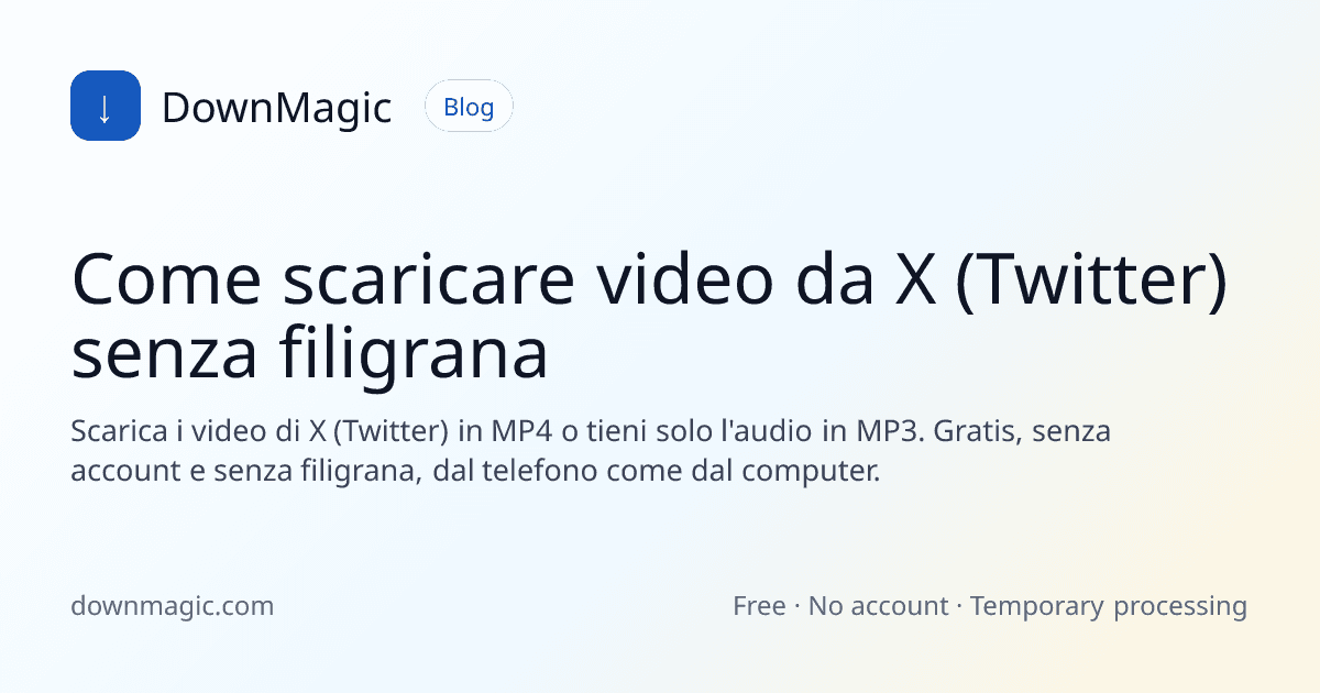 Come scaricare video da X (Twitter) senza filigrana - DownMagic illustrazione della guida