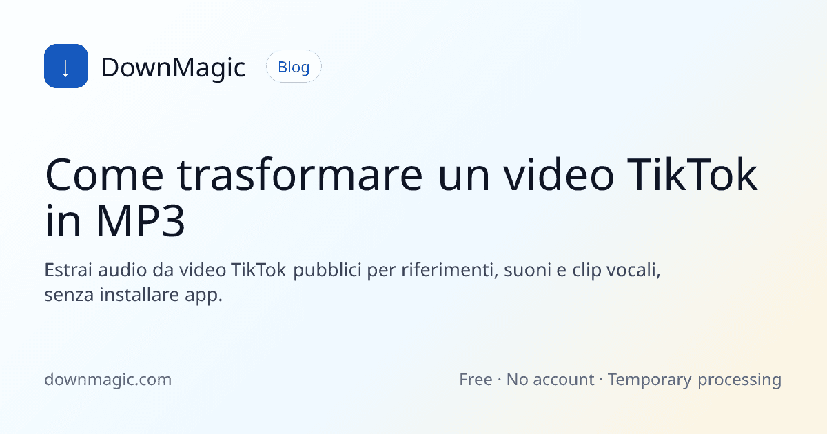 Come trasformare un video TikTok in MP3 - DownMagic illustrazione della guida