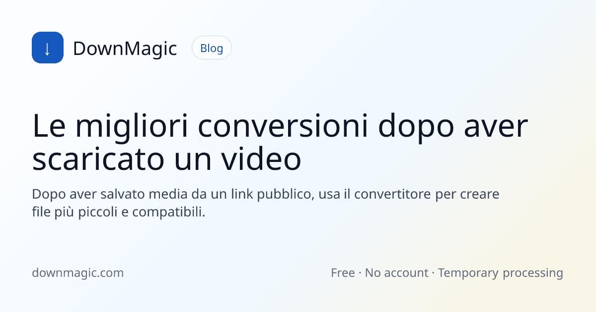 Le migliori conversioni dopo aver scaricato un video - DownMagic illustrazione della guida