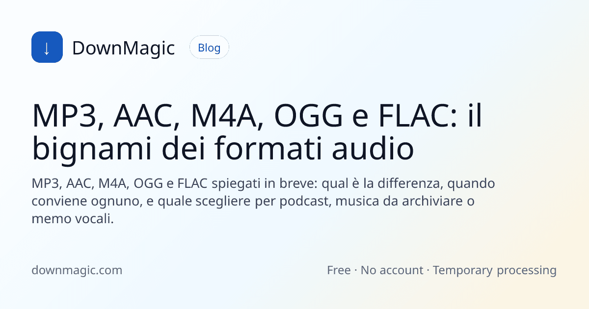 MP3, AAC, M4A, OGG e FLAC: il bignami dei formati audio - DownMagic illustrazione della guida