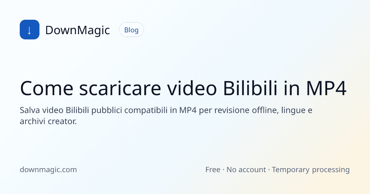 Come scaricare video Bilibili in MP4 - DownMagic illustrazione della guida