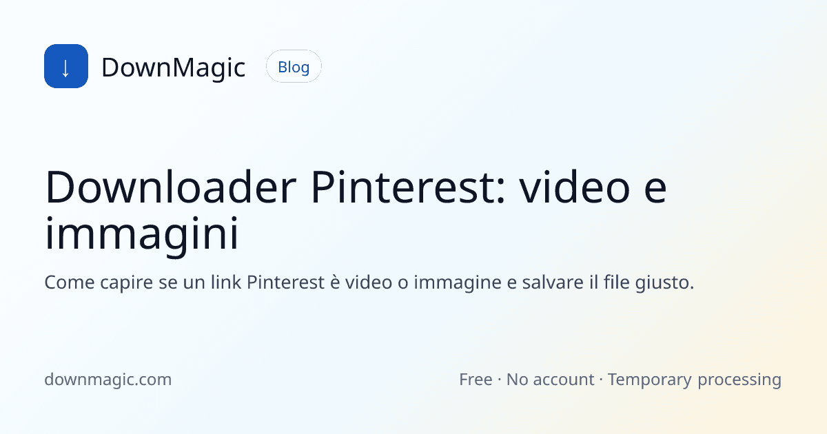 Downloader Pinterest: video e immagini - DownMagic illustrazione della guida