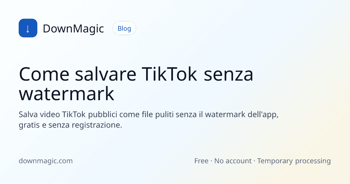 Come salvare TikTok senza watermark - DownMagic illustrazione della guida