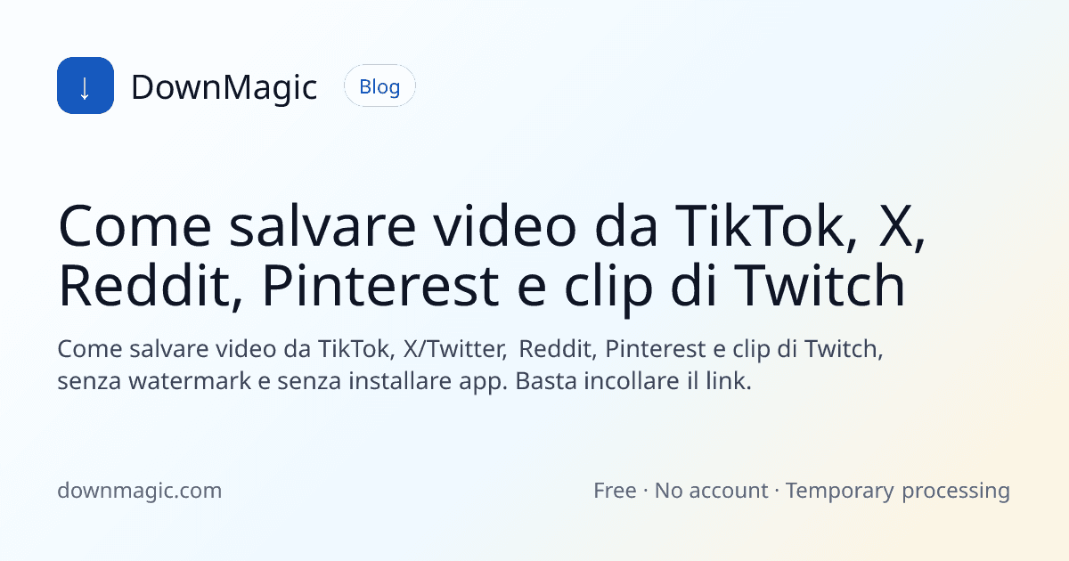 Come salvare video da TikTok, X, Reddit, Pinterest e clip di Twitch - DownMagic illustrazione della guida